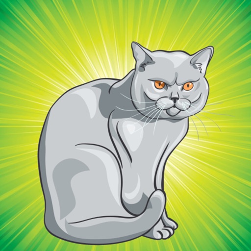 Coloring Book: Cats and Kittens ! Coloring Pages for Toddlers icon