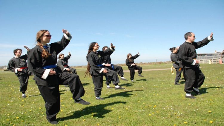 Teach Yourself Tai Chi