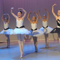 Ballet Coaching PC 용