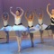 Discover Ballet Dancing with this collection of 196 tutorial Ballet Video Lessons