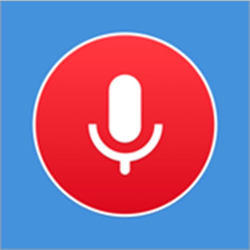 Platinum voice recorder icon