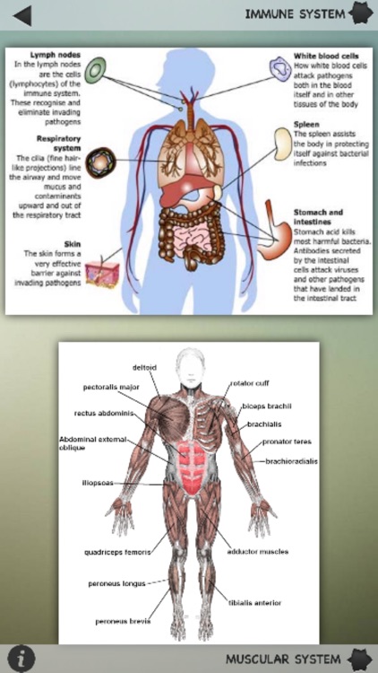 Human Body Details screenshot-3