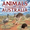 Our application will introduce you to the inhabitants of the wild nature Australia