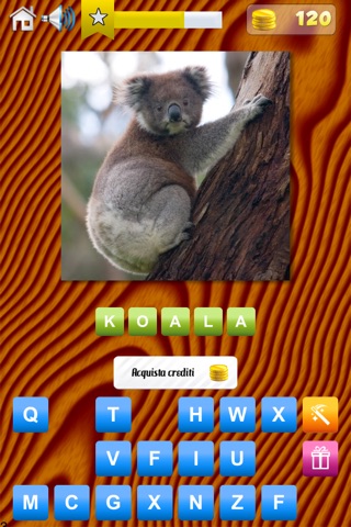 Animals Quiz - World Edition screenshot 2