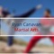 Ryan Canavan Martial Arts forms part of the Matt Fiddes Martial Arts Chain globally