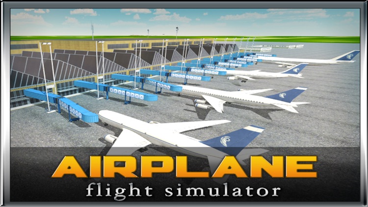 Airplane Flight Simulator 3D screenshot-3