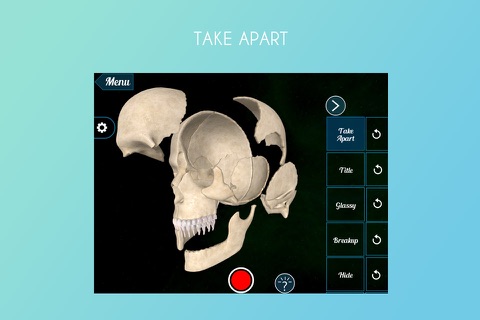 Virtual Reality(VR) Human Skull screenshot 2