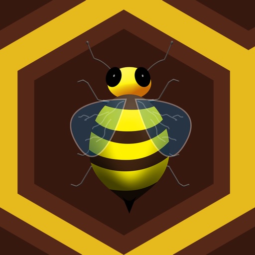 Buzz Bee Racing Madness - awesome speed racing arcade game icon