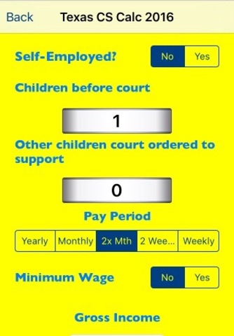 Texas Child Support Calculator 2016 screenshot 2