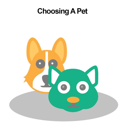 Choosing A Pet