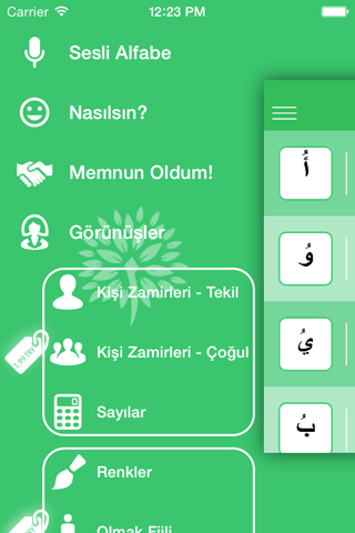 Learning Arabic! screenshot 4