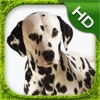 Dalmatian Simulator - HD