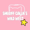 Brain Puzzle Game for Sheriff Callie's Wild West