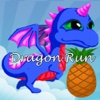 Dragon Run 1.0