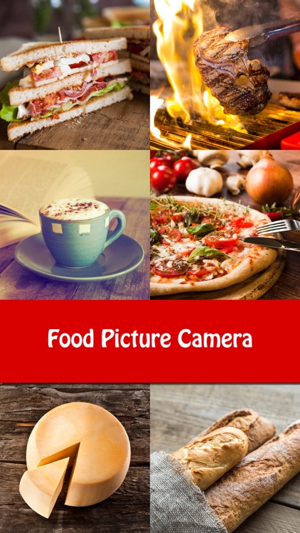 Food Picture Camera