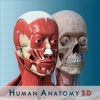 Anatomy and Physiology 3D : Anatomical Model of the Human Body