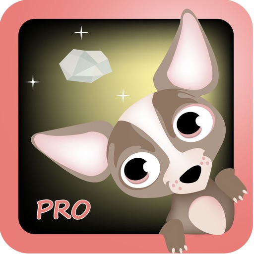 Alfie the Chihuahua Pro iOS App