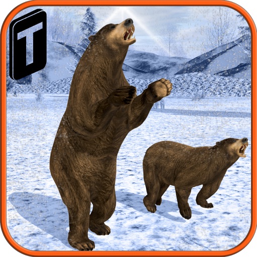 Bear Revenge 3D Icon