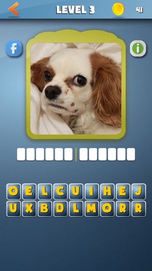 DogdomDogs - What's the dog breed? Guess the Dog from the Pi(圖3)-速報App