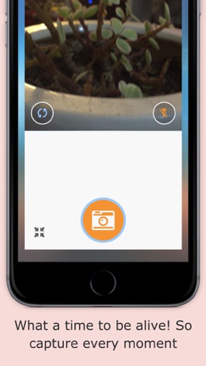 FeelingAlive - Capture Life's Highlights(圖1)-速報App