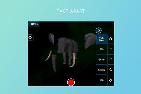 Elephant 3D screenshot 2