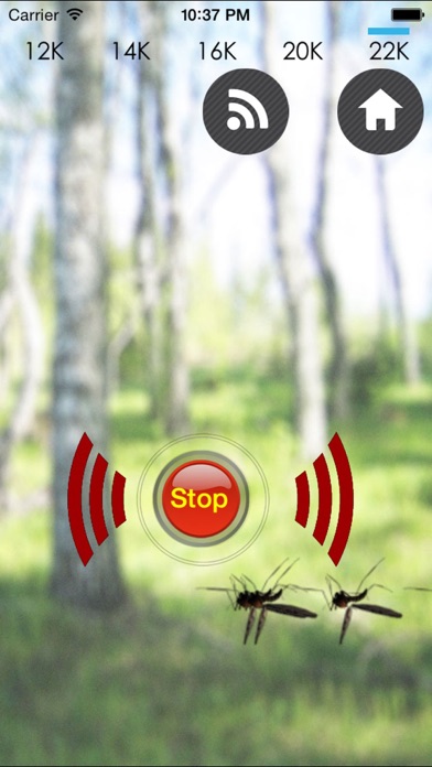 iHateMosquito - 蚊キラー screenshot1
