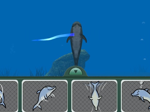 Dolphin Dreams screenshot 2