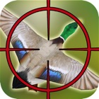 Duck Hunting: Angry Shooting Game