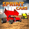 Sprint Car Dirt Track Game