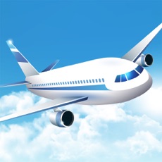 Activities of Aircraft Flight Simulator 3D