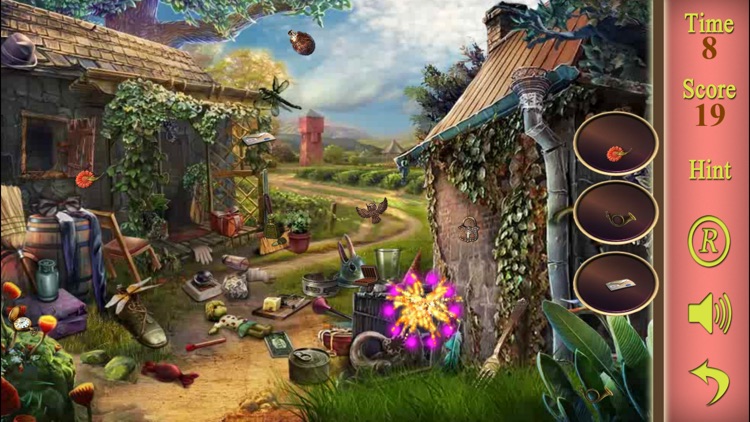 Hidden Objects A Sourceress Potoin