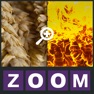 Get Zoom Quiz - Guess what is the picture, new fun puzzle! for iOS, iPhone, iPad Aso Report