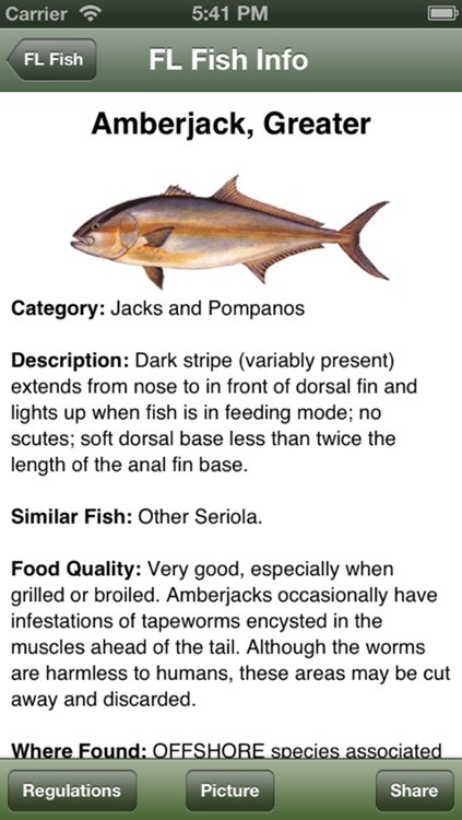 GA Saltwater Fishing Companion