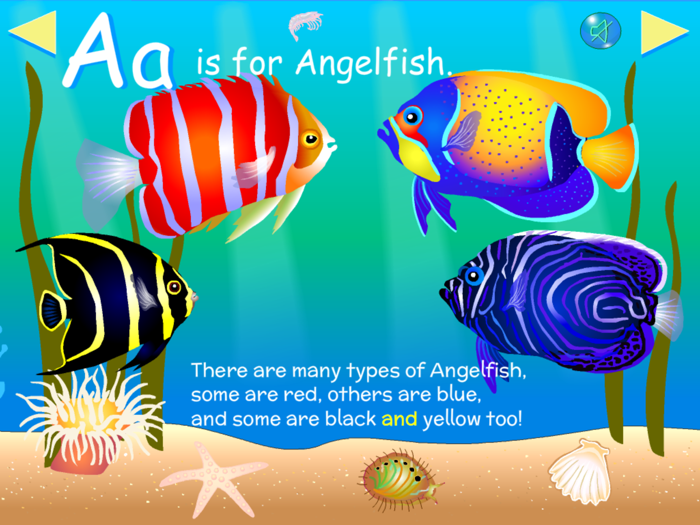 Fish  Sea Creatures ABCs