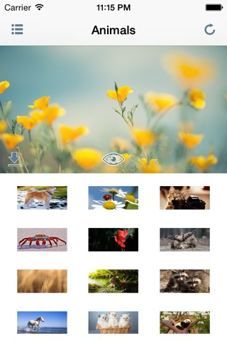 Wallpapers HD - techmaches screenshot 2