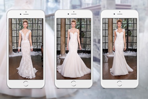 Wedding Dress and Gown Ideas screenshot 4