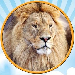 jungle pictures to win for kids - free game