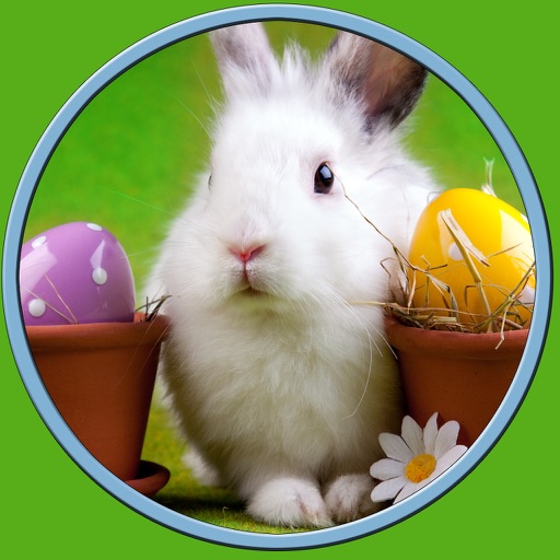 kids love rabbits - free game icon