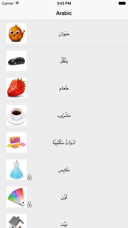 Learning Arabic 400 Basic Words screenshot-3