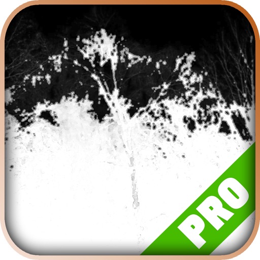 Game Pro - Dark Souls II: Scholar of the First Sin Version iOS App