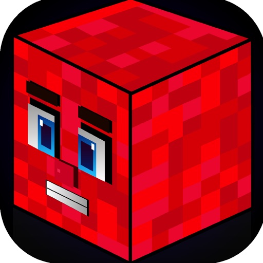 Action Craft Mini Blockheads Match 3 Skins Survival Game iOS App