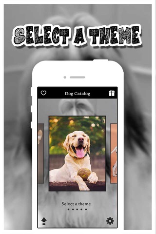 Dog Catalog HD - Photo Gallery & Wallpapers of Dog Breads FREE screenshot 4