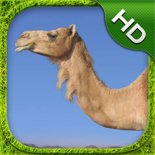 Camel Simulator - HD Icon