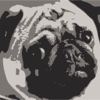 PugTube