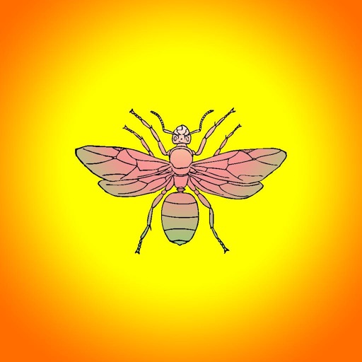 Drawing with Insects iOS App