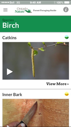 Ontario Nature Forest Foraging Guide(圖3)-速報App