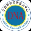 DNA亲子鉴定