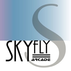 Activities of SkyFly Arcade