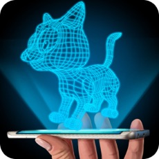 Activities of Hologram 3D Cat Simulator