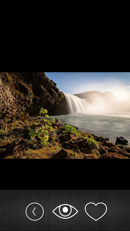 Pic Assist- Mobile Photolab